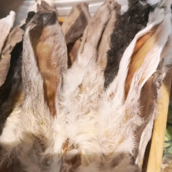 Oreilles de Lapin avec Fourrure