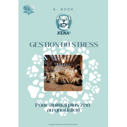 Ebook Gestion du Stress