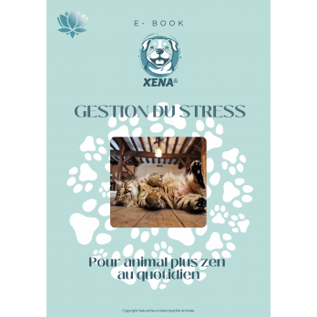 Ebook Gestion du Stress