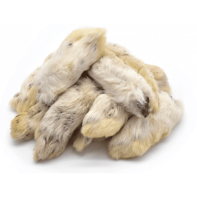 Pattes de Lapin