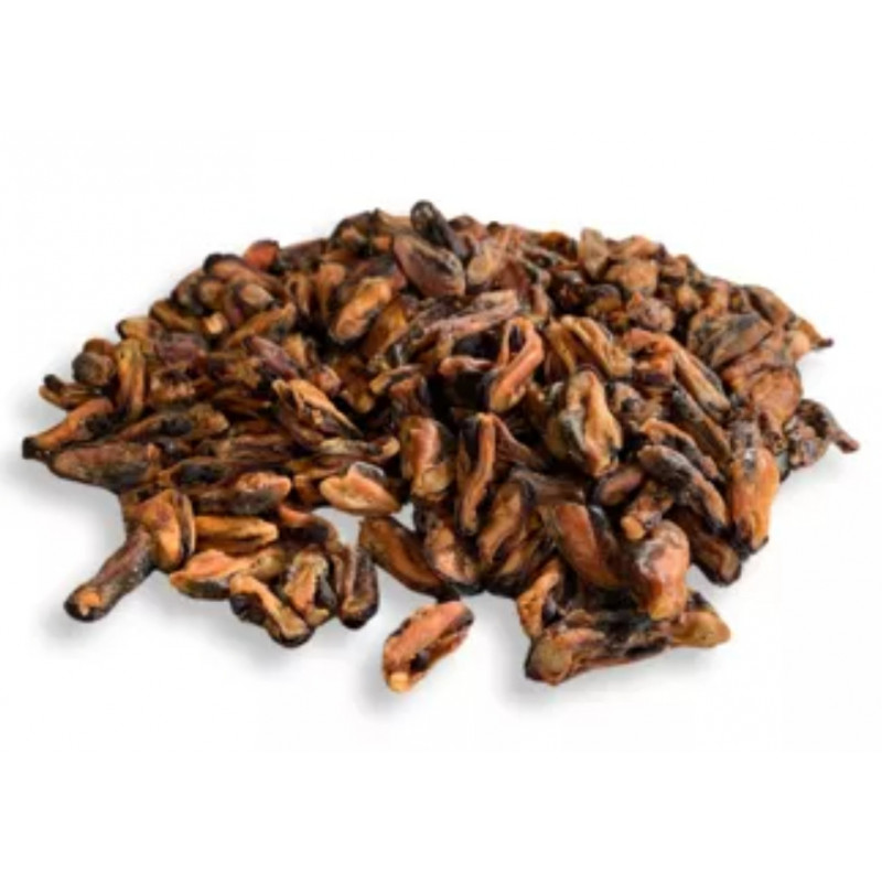 Moules séchées