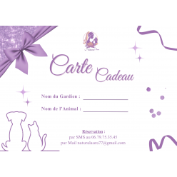 Carte Cadeau Soin REIKI Duo