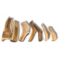 Bois de Cerf en Tranche