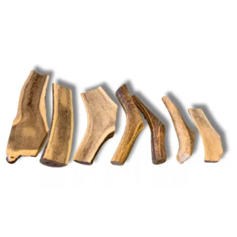 Bois de Cerf en Tranche