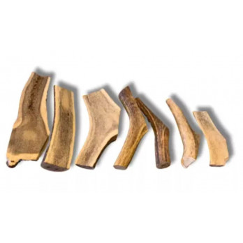 Bois de Cerf en Tranche