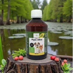 Phyto Detox 250mL