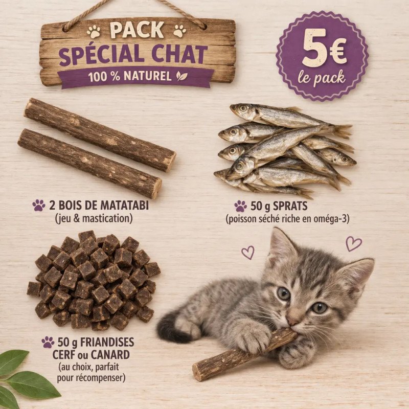 Pack Spécial Chat