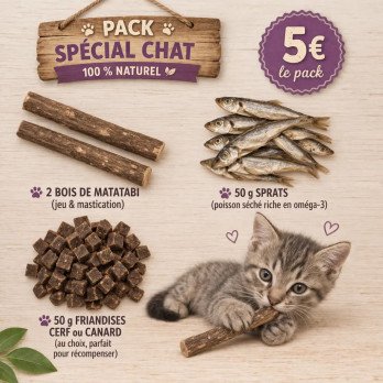 Pack Spécial Chat