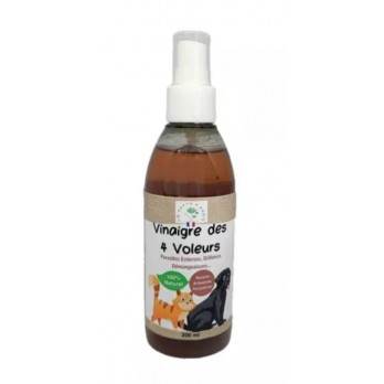 Vinaigre des 4 Voleurs Spray 200mL