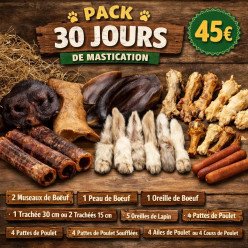 Pack 30 jours de Mastication