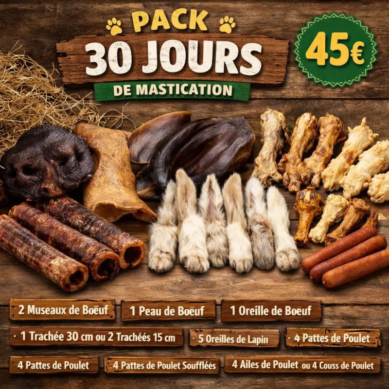 Pack 30 jours de Mastication