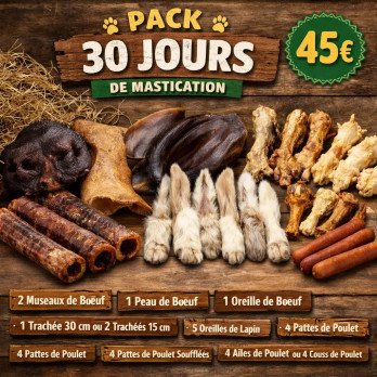 Pack 30 jours de Mastication