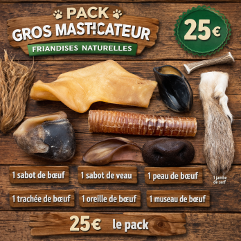Pack Gros Masticateur