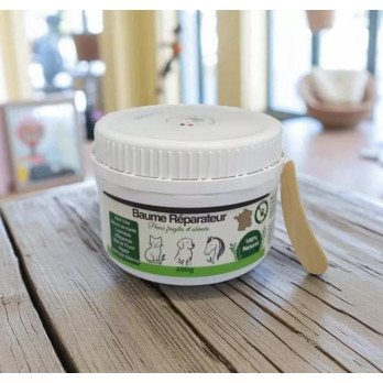 Baume Réparateur 80g