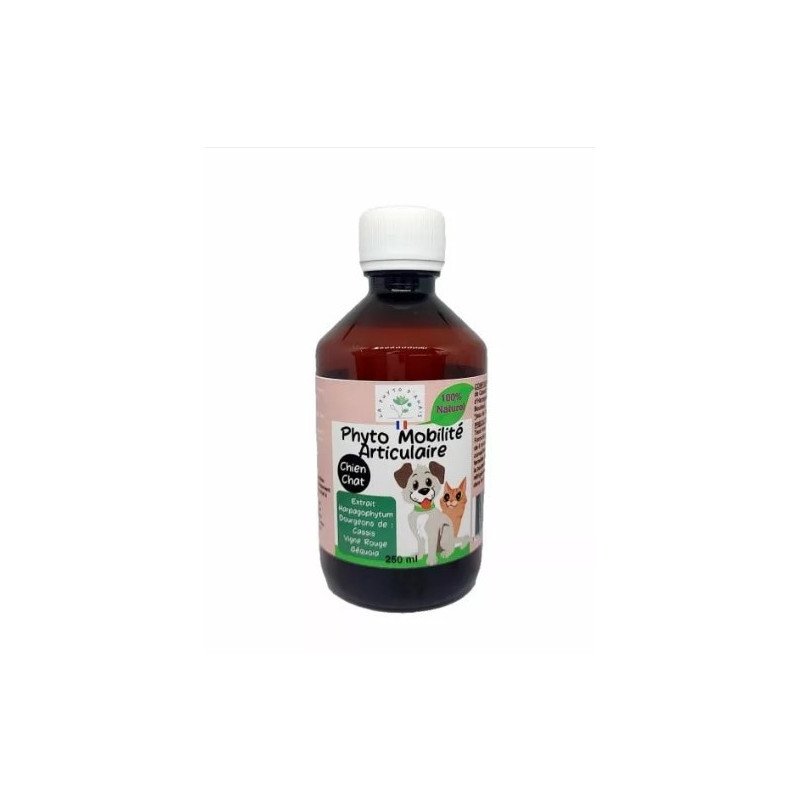 Phyto Mobilité Articulaire 250mL