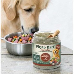 Phyto BARF 300g