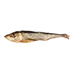 Hareng fumé