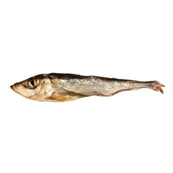 Hareng fumé