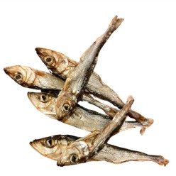 Hareng fumé