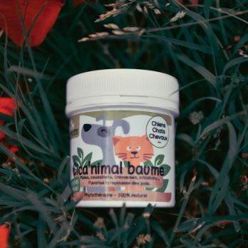 Baume Cicatrisant