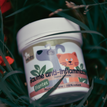 Baume Anti-Inflammatoire