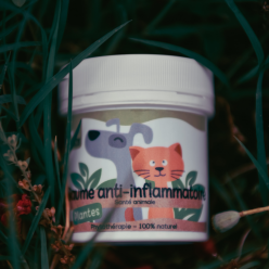 Baume Anti-Inflammatoire