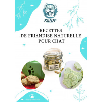 Ebook Recettes de Friandises Naturelles pour Chat