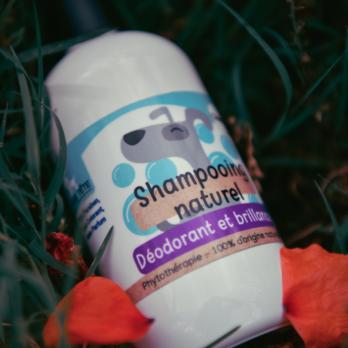 Shampoing Naturel Déodorant et Brillance 250mL