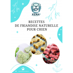 Ebook Recettes de Friandises Naturelles pour Chien