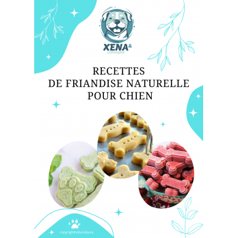 Ebook Recettes de Friandises Naturelles pour Chien