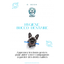 Ebook Hygiène Bucco Dentaire