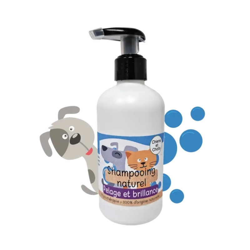 Shampoing Naturel Déodorant et Brillance 250mL