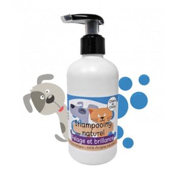 Shampoing Naturel Déodorant et Brillance 250mL