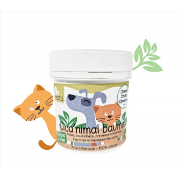 Baume Cicatrisant
