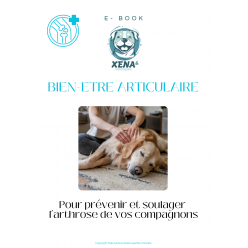 Ebook Bien-être Articulaire