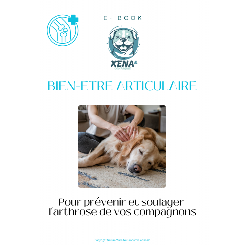 Ebook Bien-être Articulaire Ebook Bien-être Articulaire