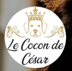 Le Cocon de César